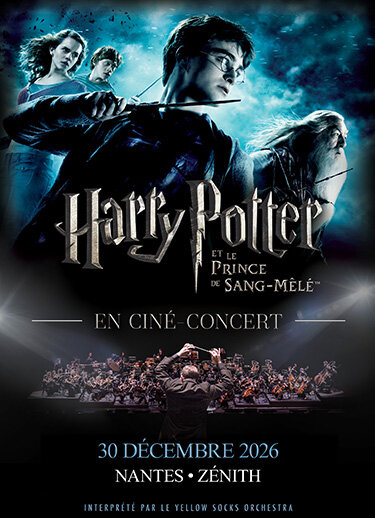 HARRY POTTER 6